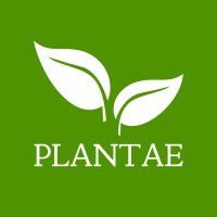 Plantae Viveiro & Consultoria Ambiental logo - Similar company to Viveiro Bioflora