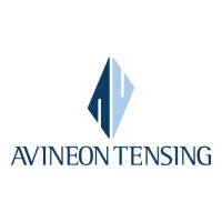 Avineon Tensing logo - Similar company to Net4S Bv