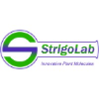 Strigolab