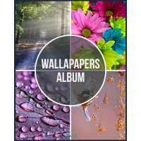 Wallpapers Album logo - Similar company to Wallpaper