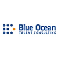 Blue Ocean Talent Consulting logo - Similar company to Blue Ocean Recruiters