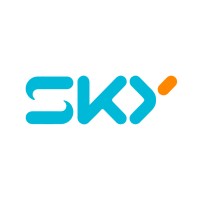 SKY 360 logo - Similar company to Redson