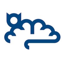 Braincat Inc. logo - Similar company to Conzent Aps