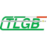 TLGB banchi di collaudo logo - Similar company to Cea Group S.R.L.