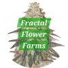Fractal Flower Farms