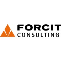 FORCIT Consulting Suomi logo - Similar company to Forcit Consulting Sverige