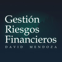Gestión Riesgos Financieros logo - Similar company to Quant | Consultora De Riesgos Financieros