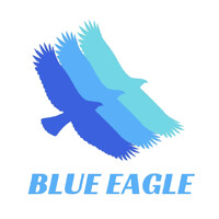 BLUE EAGLE logo - Similar company to Blue Eagle Ltd