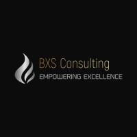 BXS Consulting logo - Similar company to Gros Bras - Moving And Transportation Of Goods In Cameroon