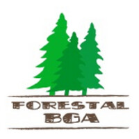 Forestal BGA, S.A. de C.V. logo - Similar company to Vitaleza