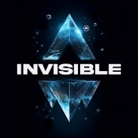 Invisible Group logo - Similar company to Massive Ads Digital