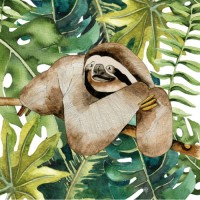 Anna Bednarczyk Ilustracje