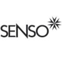Senso logo - Similar company to Impilo Technologies Limited