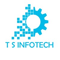 TS Infotech logo - Similar company to Incapp
