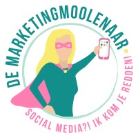 De Marketingmoolenaar logo - Similar company to The Fresh Perspective
