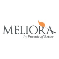 Meliora Technology, LLC logo - Similar company to Stfne Creative Co.