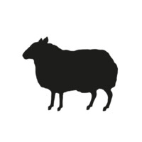 BBH London logo - Similar company to Uncommon Creative Studio