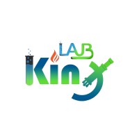 Lab Kinx logo - Similar company to Woundheal Analytics