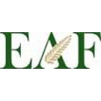 EAF Group Ltd logo - Similar company to Pry Digital