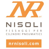 NR di Nisoli SRL logo - Similar company to Ceitsa Electromecatronica