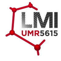 Laboratoire des Multimatériaux et Interfaces logo - Similar company to Cctm