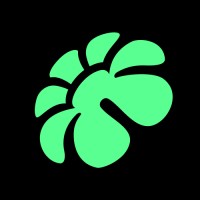 Bloom Games logo - Similar company to Box3