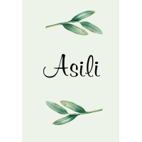 Asili logo - Similar company to Vividhta Consulting