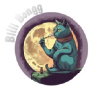 Billi bong logo - Similar company to Modelfactory