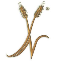 The Yoshon Network Inc.