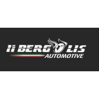 Li Bergolis Automotive logo - Similar company to A.Galli & Figlio Srl