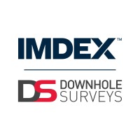 IMDEX (previously Downhole Surveys) logo - Similar company to Imdex