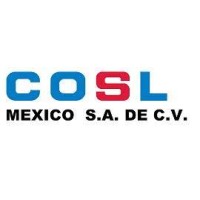 COSL México S.A. de C.V logo - Similar company to Hf Offshore