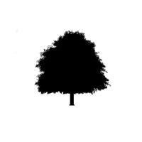 Tilo Capital logo - Similar company to Petravia