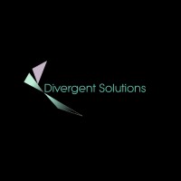 Divergent Solutions logo - Similar company to Medimerchant