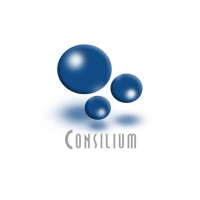 Consilium SRL logo - Similar company to Fundación Vida Azul