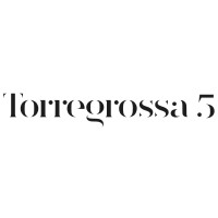 TORREGROSSA SRL logo - Similar company to Visiona Srl