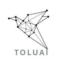 Toluai logo - Similar company to Gtbool
