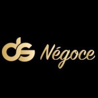 DS Négoce logo - Similar company to Easyprint