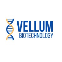 Vellum Biotechnology logo - Similar company to Boston Immune Technologies And Therapeutics