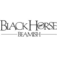 Black Horse Beamish logo - Similar company to Aston Workshop