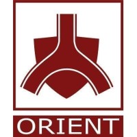 Orient Energy Systems Pvt. Ltd. logo - Similar company to Skyelectric Pvt. Ltd