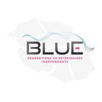 SAS BLUE logo - Similar company to Hospimedi