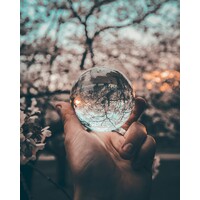 The Enabling Consultancy