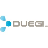 DUEGI SRL logo - Similar company to Net Target Srl