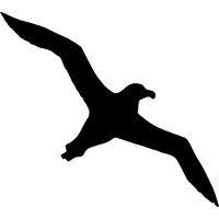 ALBATROZ SECURITY MANAGEMENT (UK) SERVICES LIMITED logo - Similar company to Albatroz Security Ltda
