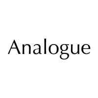 Analogue Amsterdam logo - Similar company to Analogue