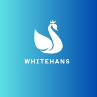 WhiteHans logo - Similar company to Webllionaire