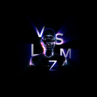 VSLZM (VISUALIZM) logo - Similar company to Xrsion Inc.