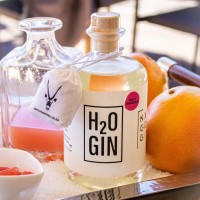 H2O GIN logo - Similar company to Kongsgaard Gin