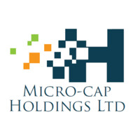 Micro-Cap Holdings Limited logo - Similar company to Spring Leaf Solutions, Llc